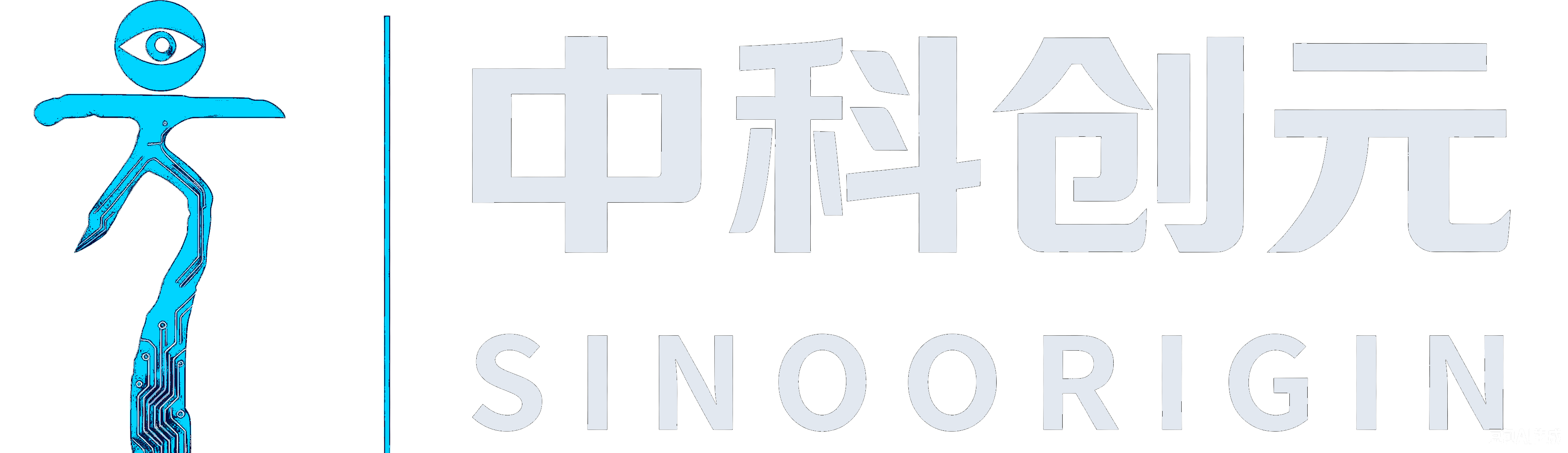 SinoOrigin 中科创元